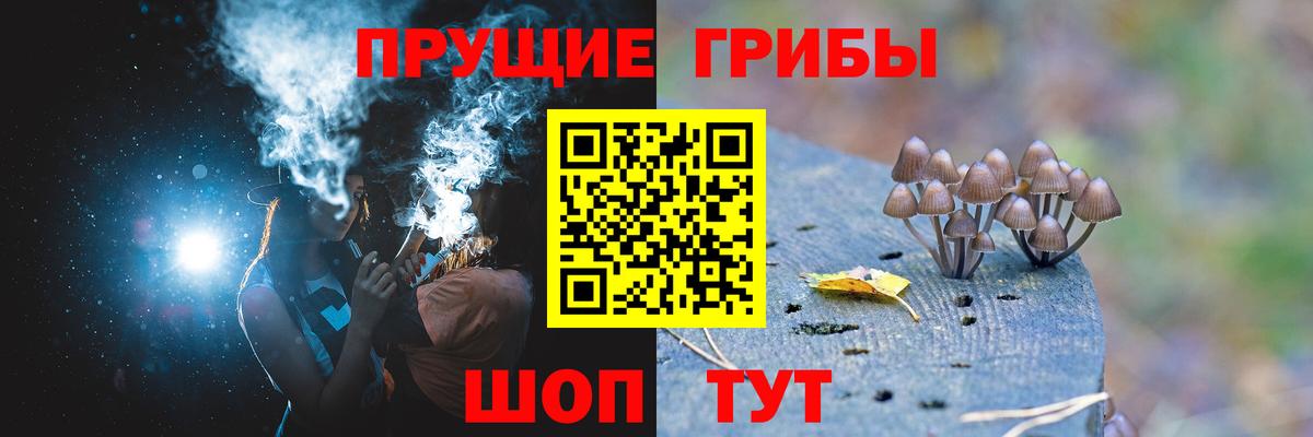 Карачаевск  Псилоцибиновые грибы Psilocybe  Вход с VPN  Псилоцибиновые грибы мухоморы 
