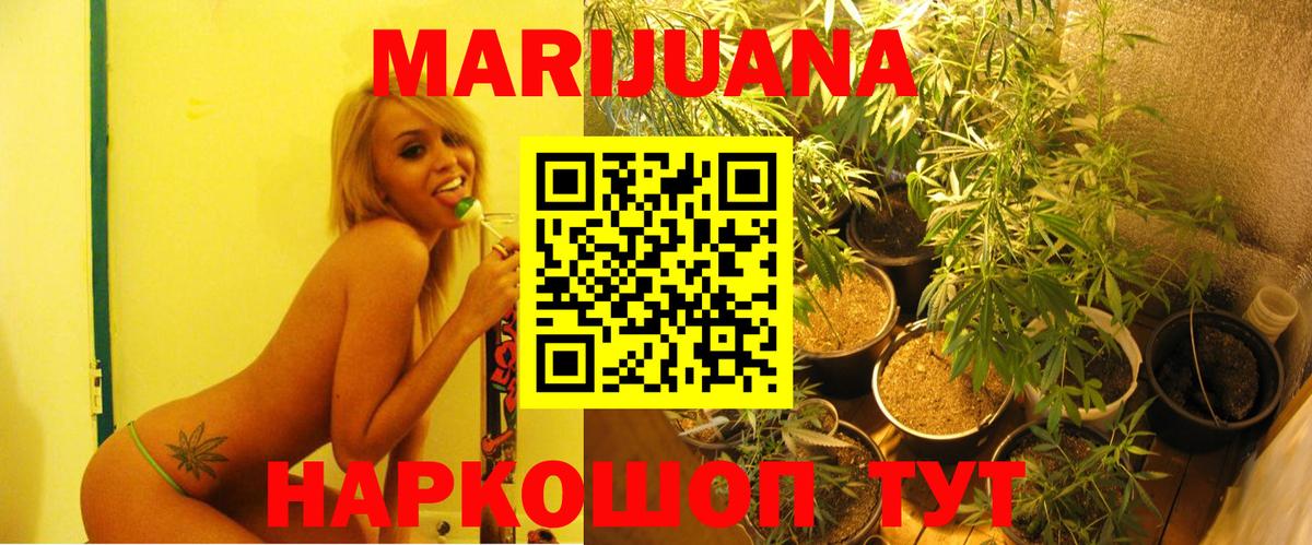 Конопля гибрид  Вход с VPN  Карачаевск  Бошки марихуана сатива  Канабис план 